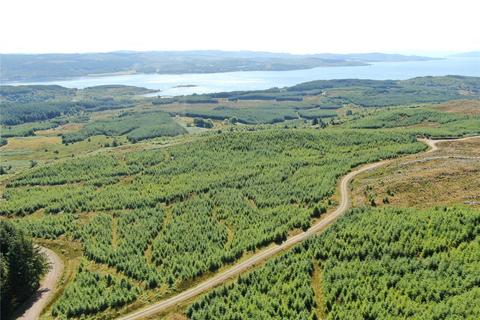 undefined, Achnaba Forest, Lochgilphead, Argyll and Bute