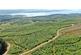 Achnaba Forest, Lochgilphead, Argyll and Bute