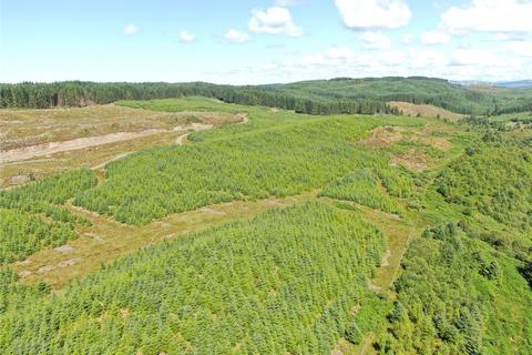 undefined, Achnaba Forest, Lochgilphead, Argyll and Bute