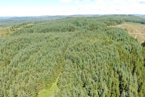 undefined, Achnaba Forest, Lochgilphead, Argyll and Bute