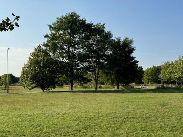 View over parkland