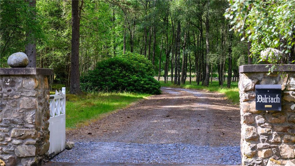 Driveway