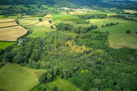 Land for sale, Blakemere, Hereford, Herefordshire