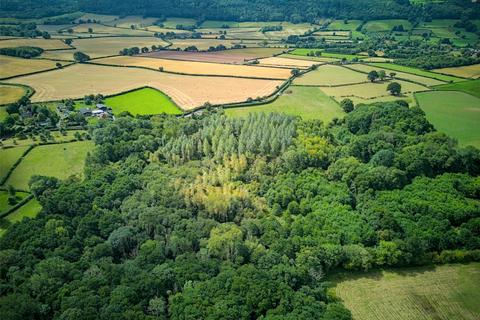 Land for sale, Blakemere, Hereford, Herefordshire