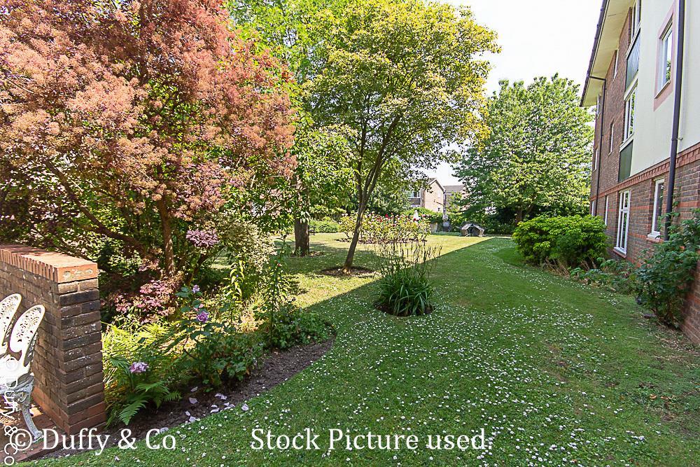 Clover Ct Stock Pic (1).jpg