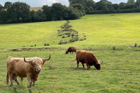 4 bedroom semi-detached house for sale, Garlandhayes Farm, Westcott, Cullompton, Devon, EX15