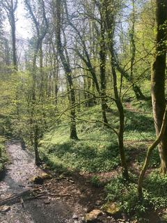 undefined, Near Wells, Somerset