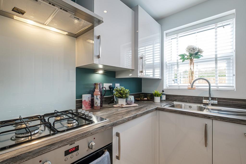 Kitchen with dark green wall and bright window