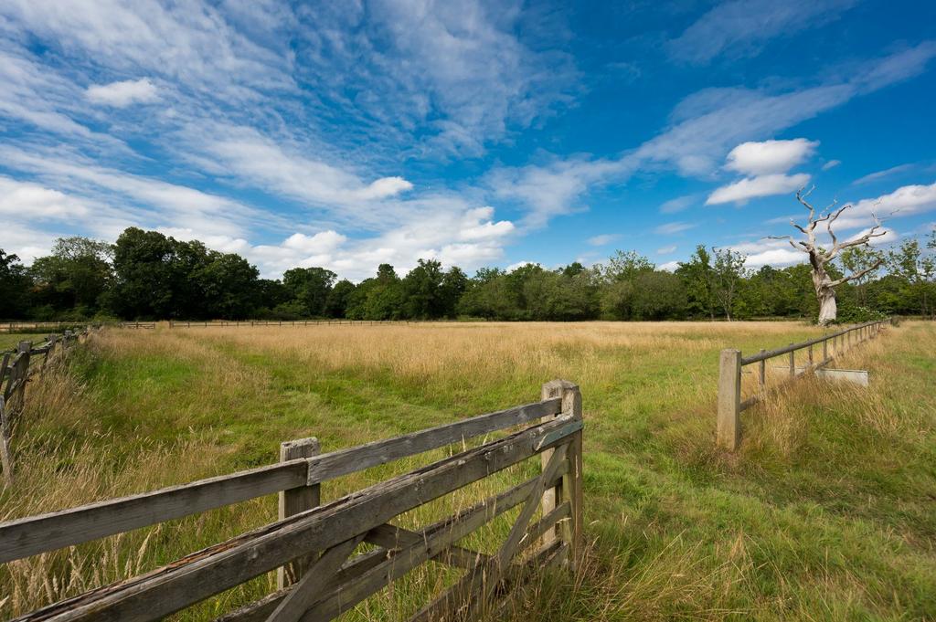 Land
