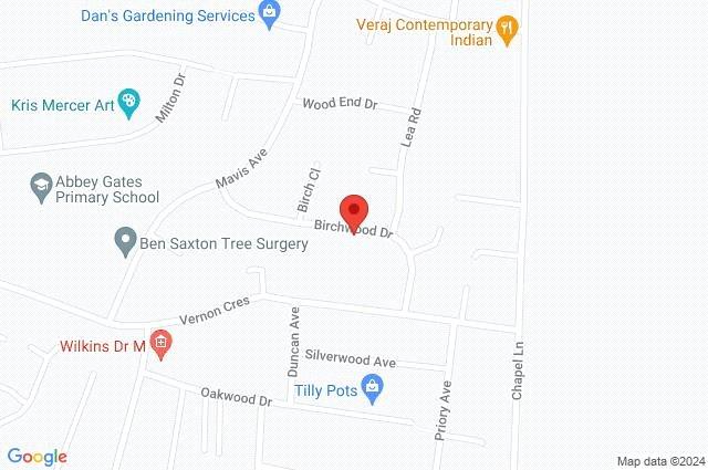 Google Maps Image