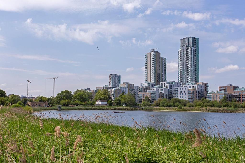 Shoreline (15).jpg