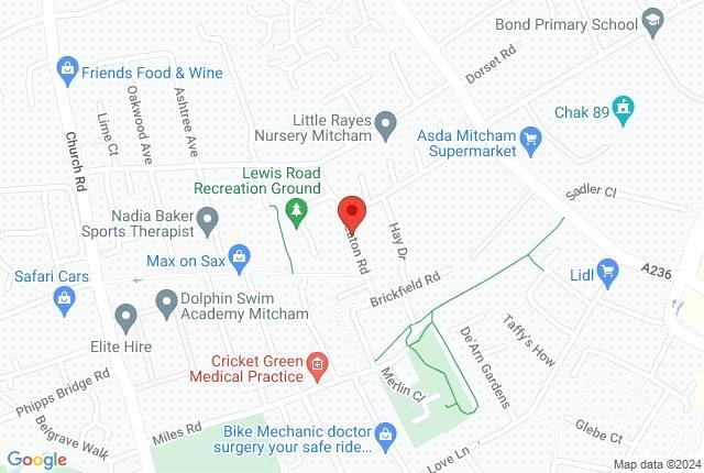 Google Maps Image