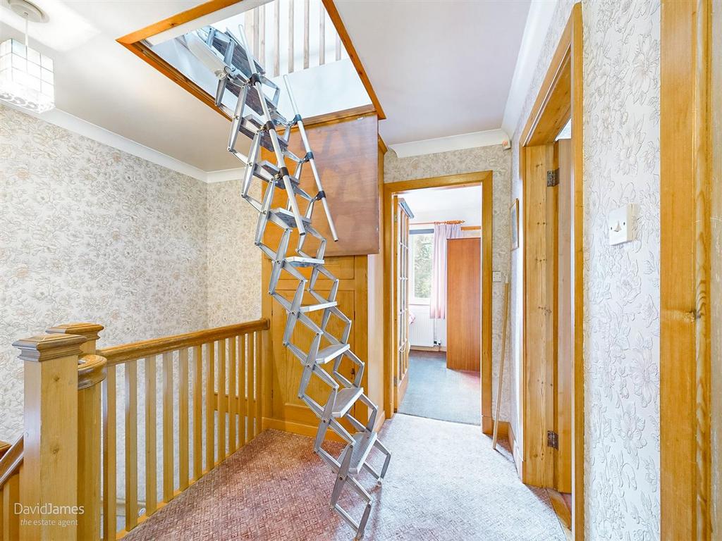 Ladder to Loft