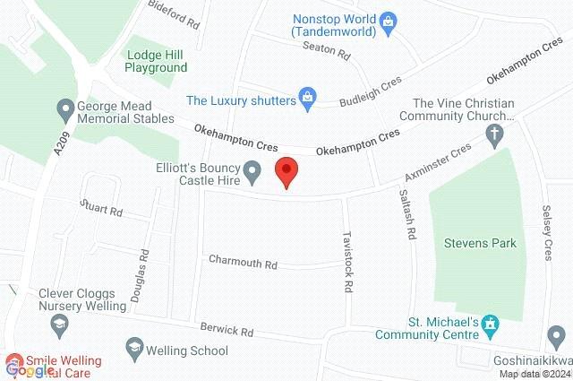 Google Maps Image
