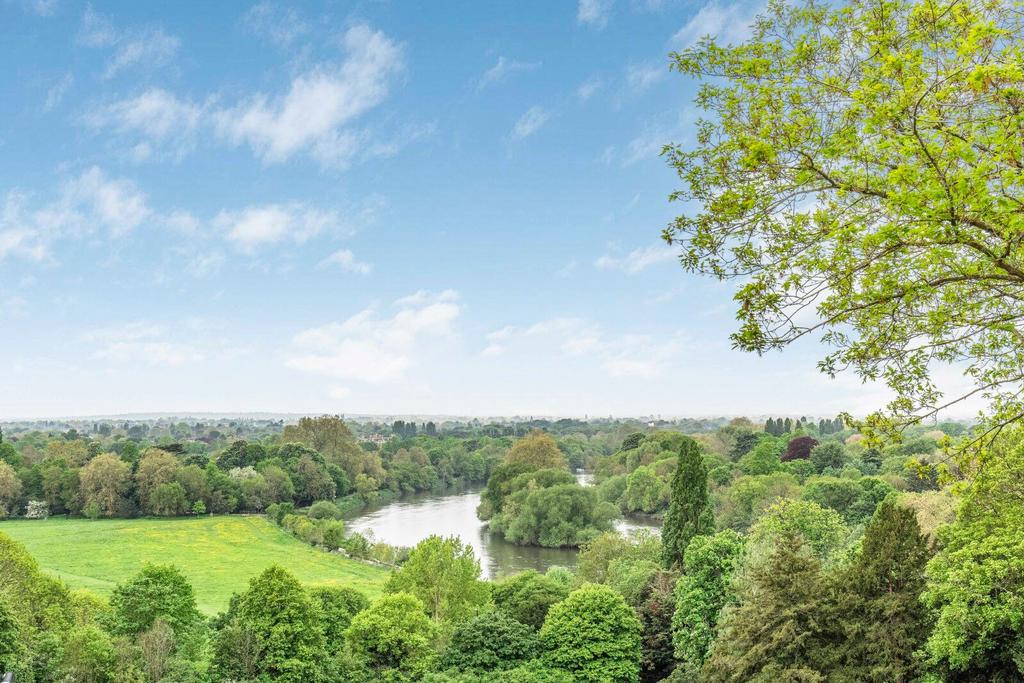 Petersham Meadows