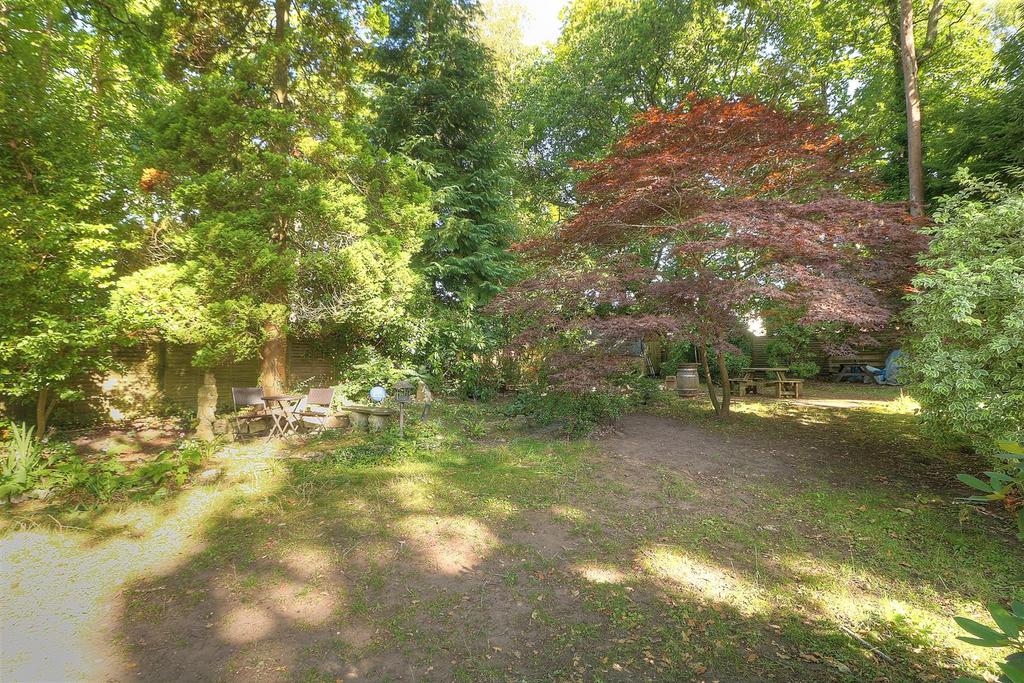 Gordon Road 26 290824 Rear Gdn 2.jpg