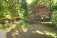 Gordon Road 26 290824 Rear Gdn 2.jpg