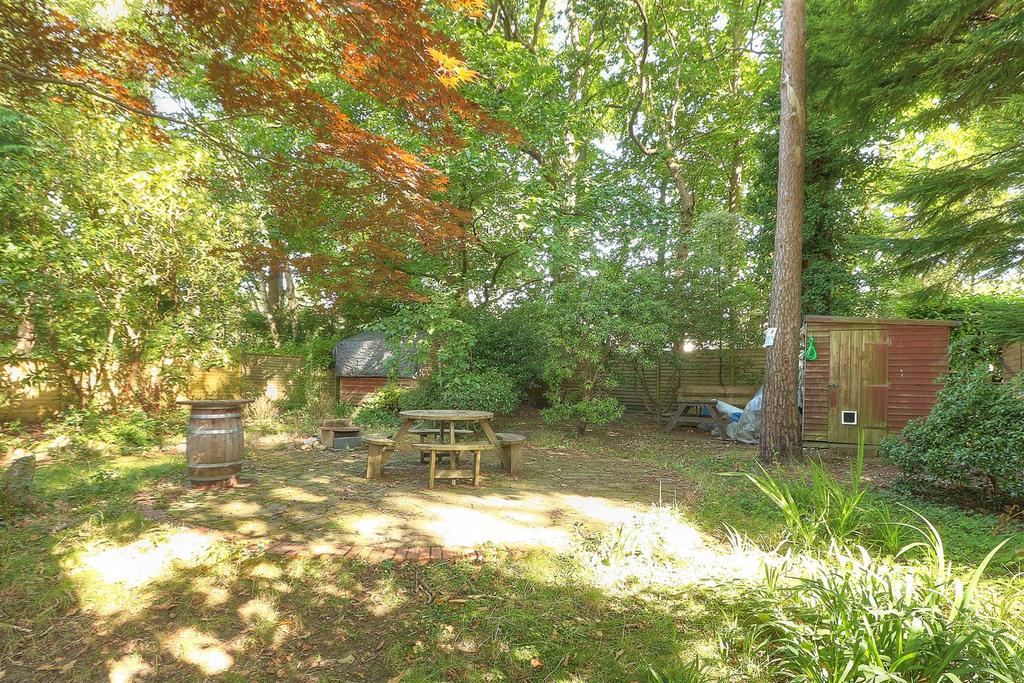 Gordon Road 26 290824 Rear Gdn 3.jpg
