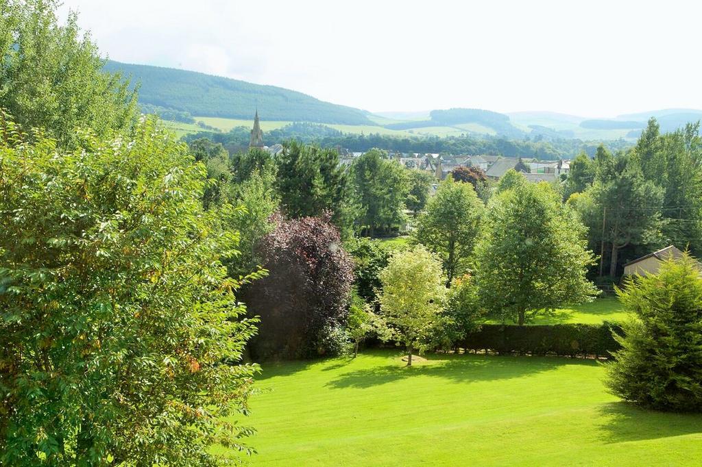 41812916.jpeg?v=