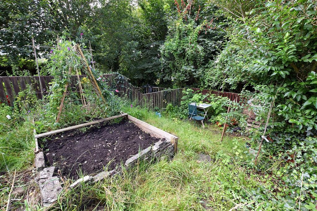 Allotment Garden