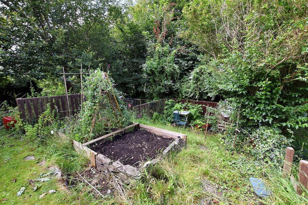 Allotment Garden