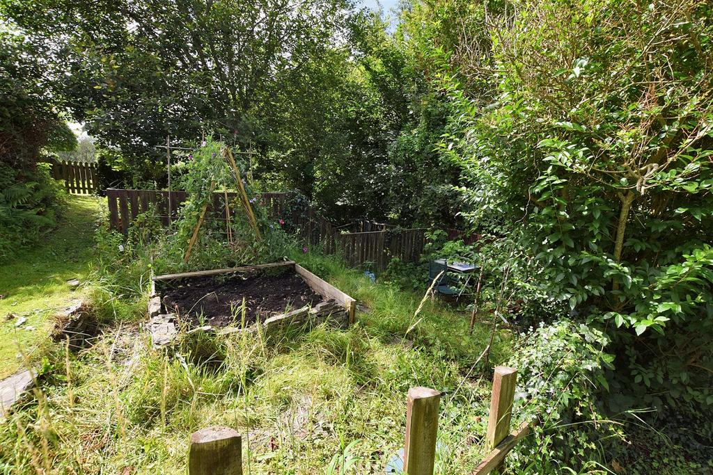 Allotment Garden