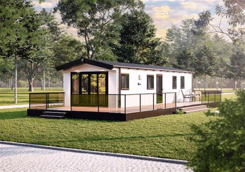 White Rose   Willerby Manor 49995