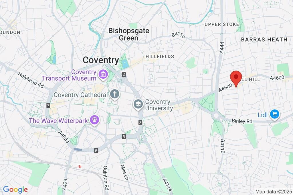 Google Maps Image
