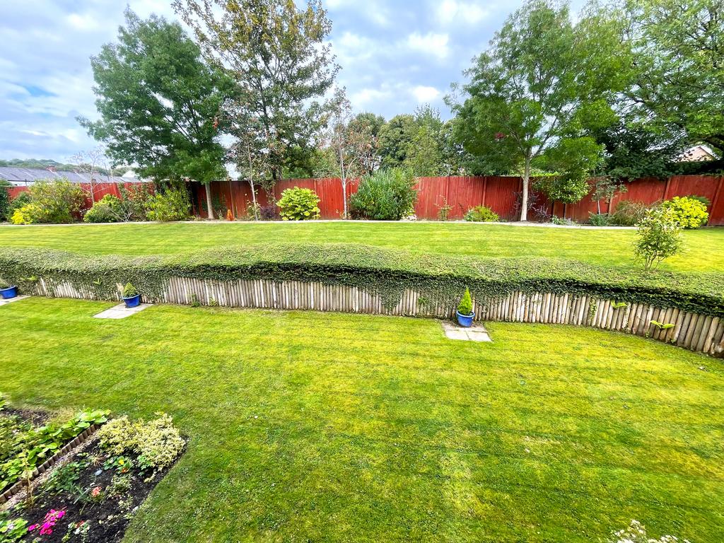 Dddd.jpg