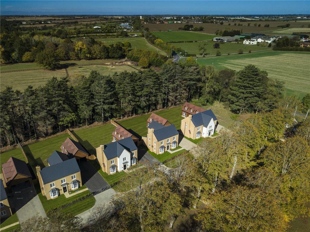 The Avenue Drone