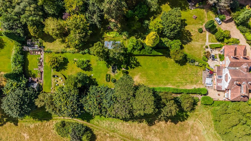 PINE TREES DRONE - (8).jpg
