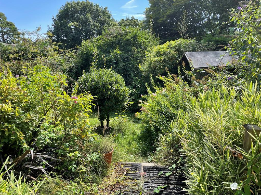 Rear garden with trees and shed