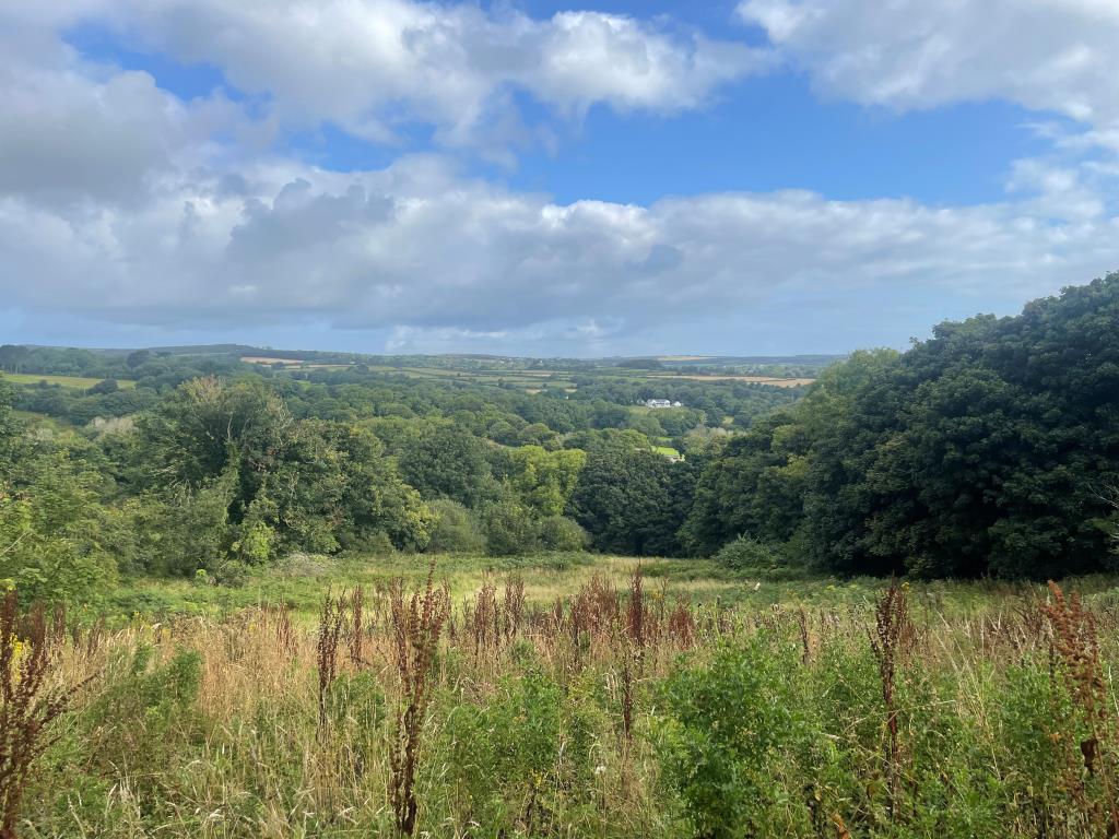 View of land with far reaching views of the countr