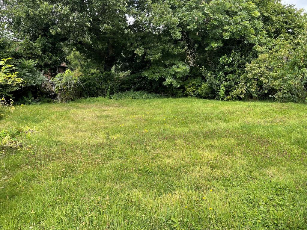 View of front garden with lawn and mature trees