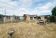 Rear aspect of bungalow showing storage/tool shed