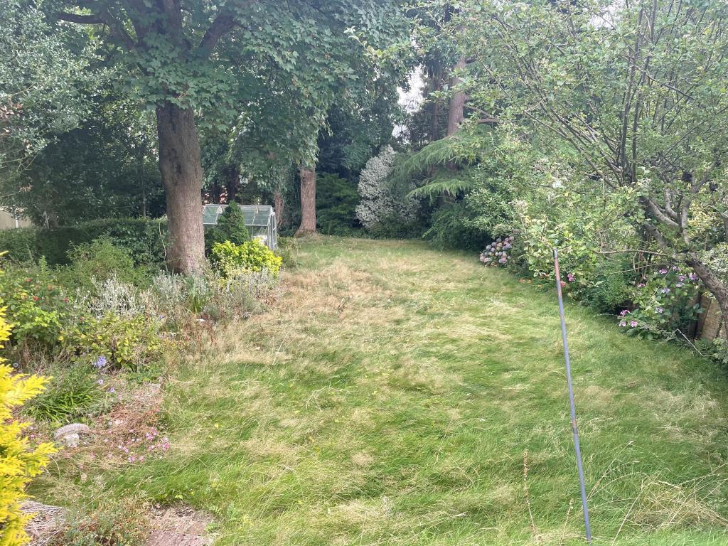 Rear garden with lawn and mature trees