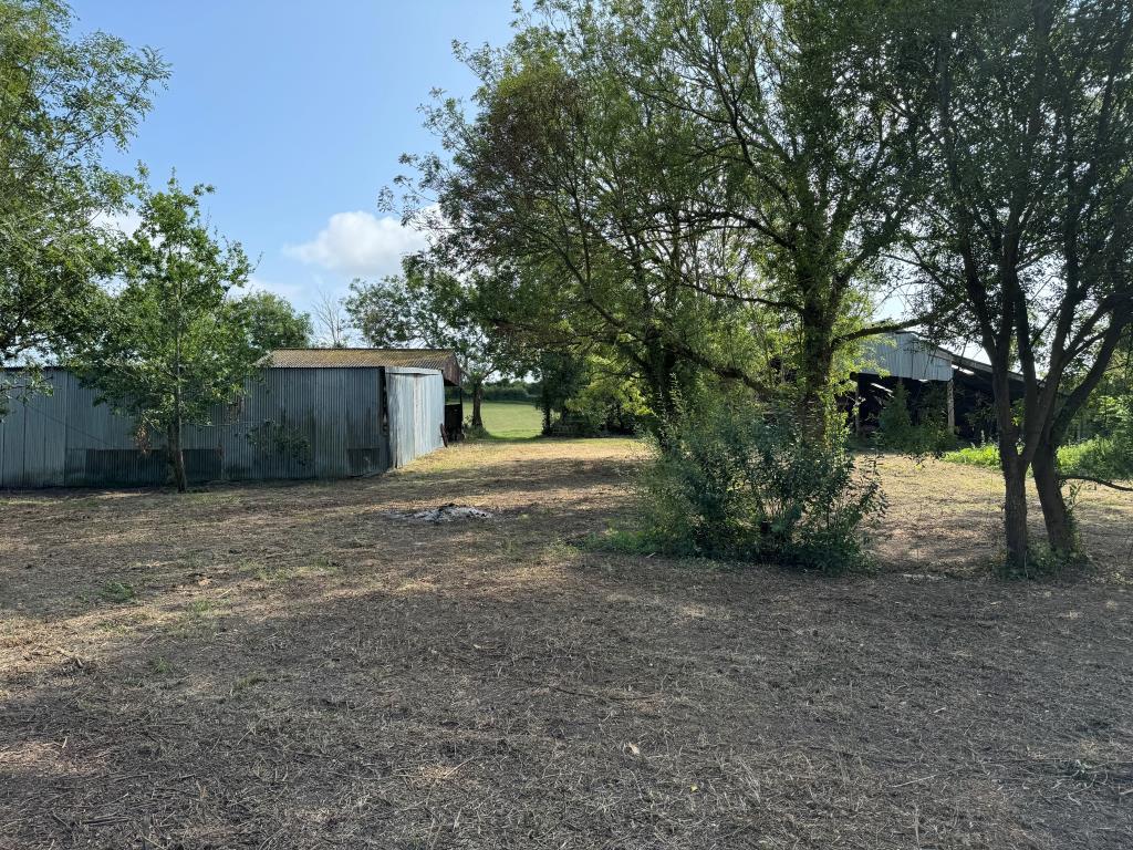 A View towards the Front of the Site