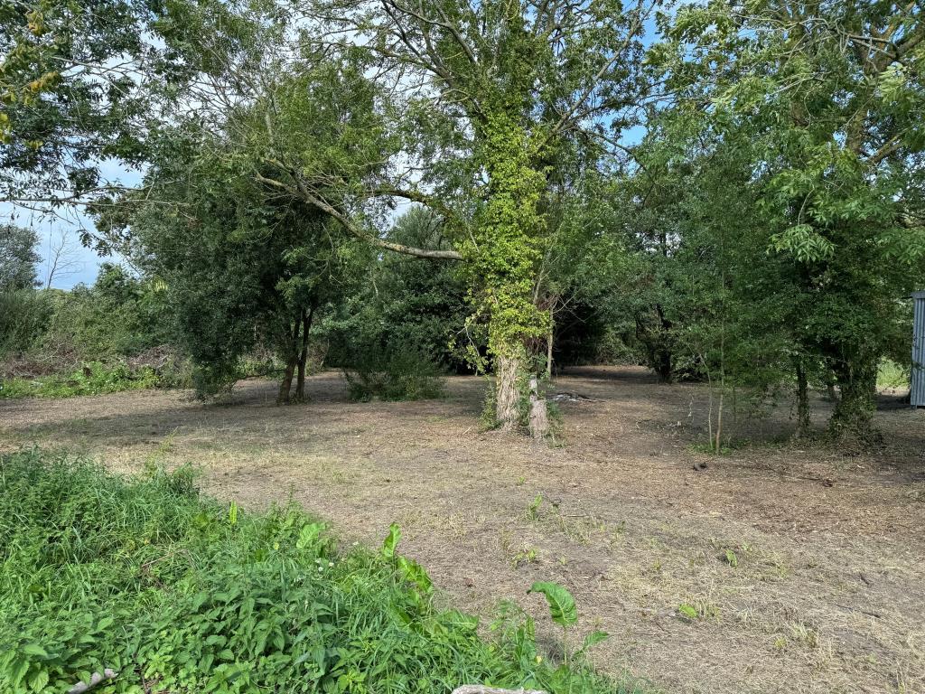 Looking Back Towards the Rear of the Site