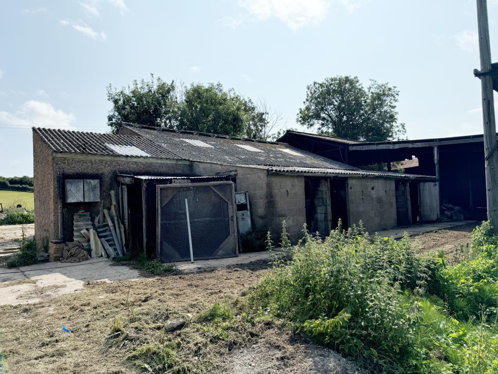 The Old Cow Shed