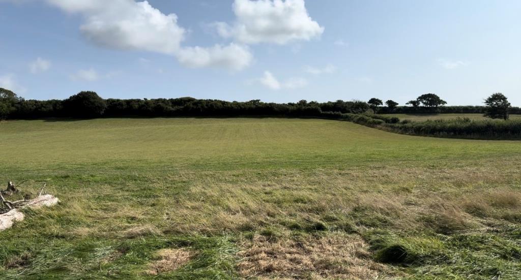 The View From the Front of the Site