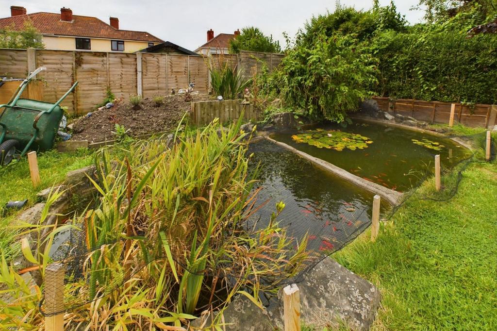 Pond