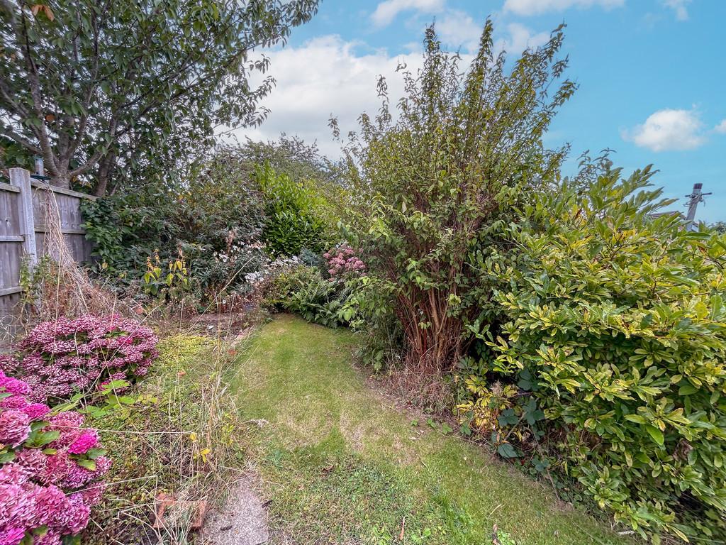 Garden 2