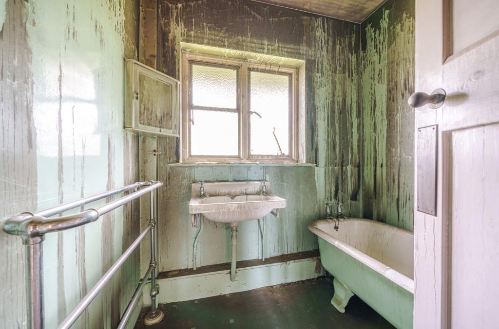 1163156 (9).jpg
