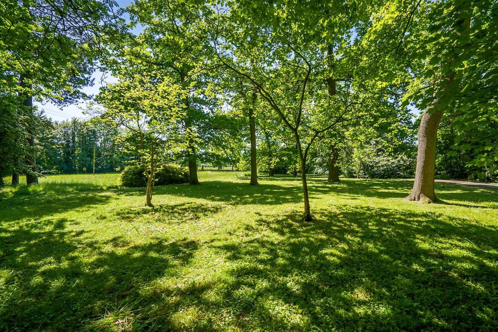 Garden and Grounds