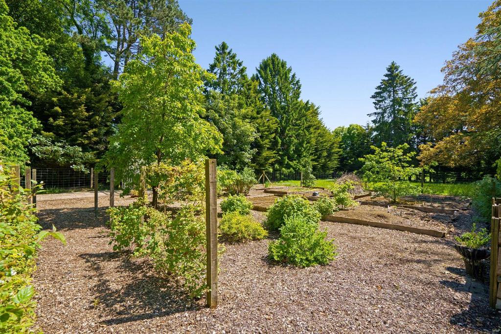 Kitchen Garden