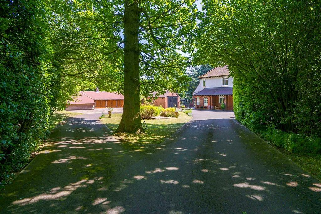 Driveway
