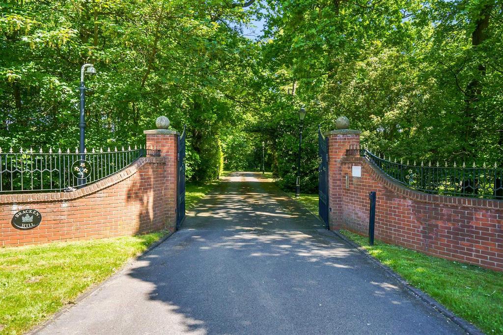 Driveway
