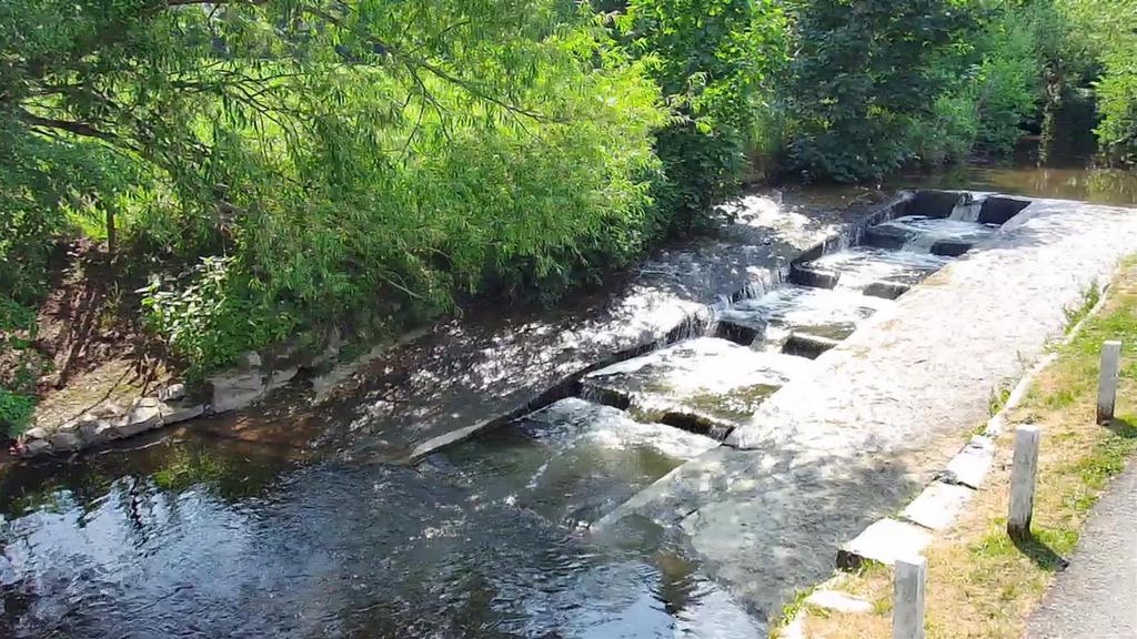 Salmon Troughs Nearby.JPG