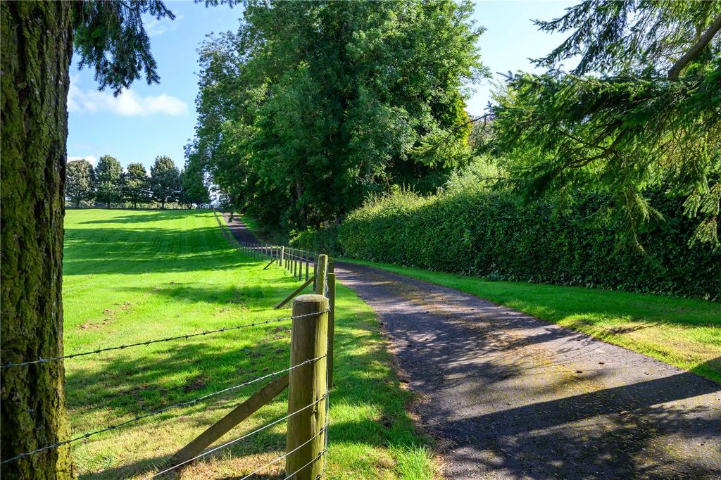 Driveway