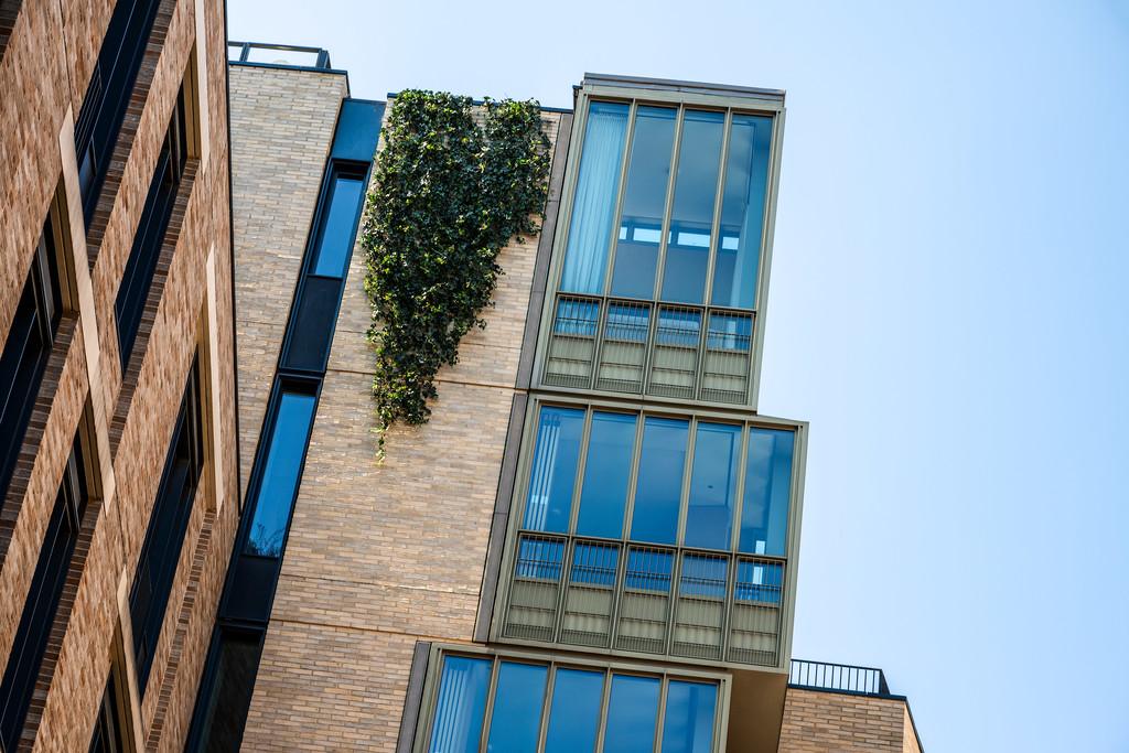 Floral Court 33
